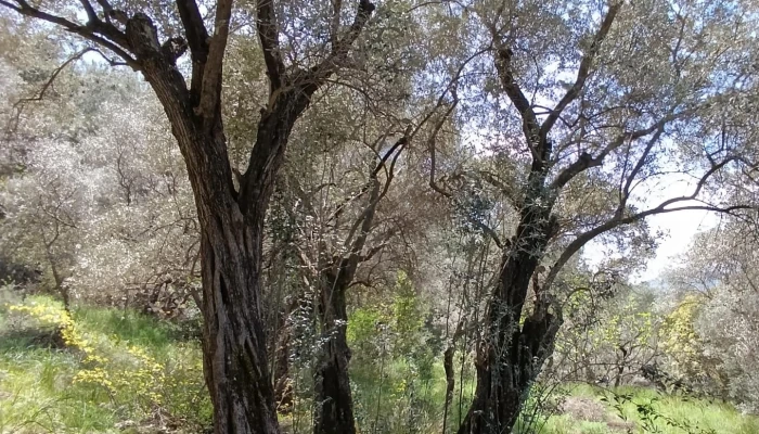 WhatsApp Image 2026-02-06 at 14.42.01.jpg