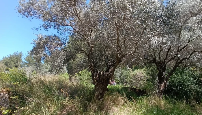 WhatsApp Image 2026-02-06 at 14.42.22.jpg