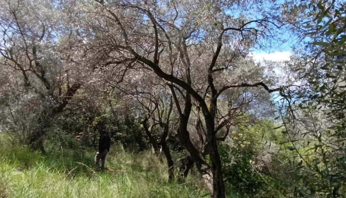 WhatsApp Image 2026-02-06 at 14.42.51.jpg