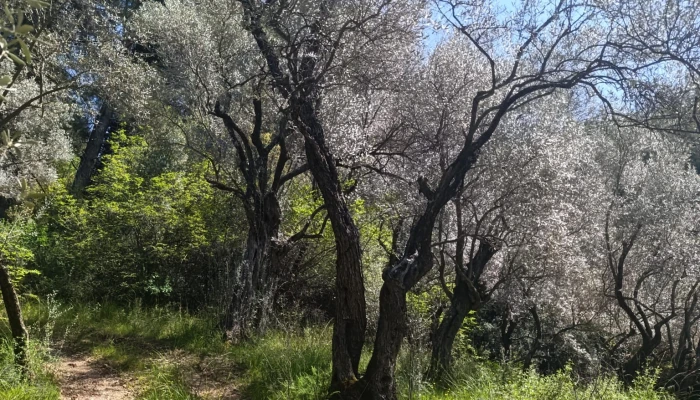 WhatsApp Image 2026-02-06 at 14.45.26.jpg