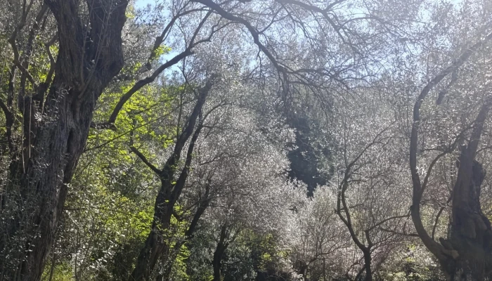 WhatsApp Image 2026-02-06 at 14.46.03.jpg