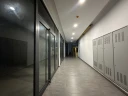 d35.jpg