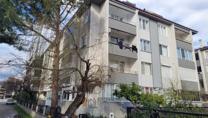 WhatsApp Image 2026-02-16 at 11.06.15.jpg