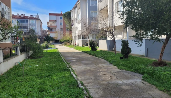 WhatsApp Image 2026-02-16 at 11.05.59 (1).jpg