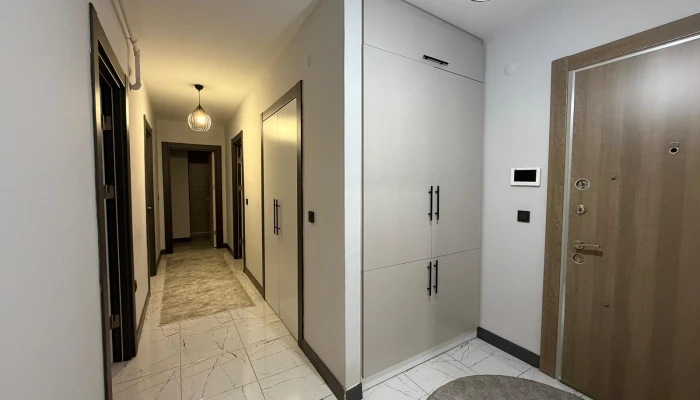 WhatsApp Image 2026-02-18 at 15.56.29.jpg