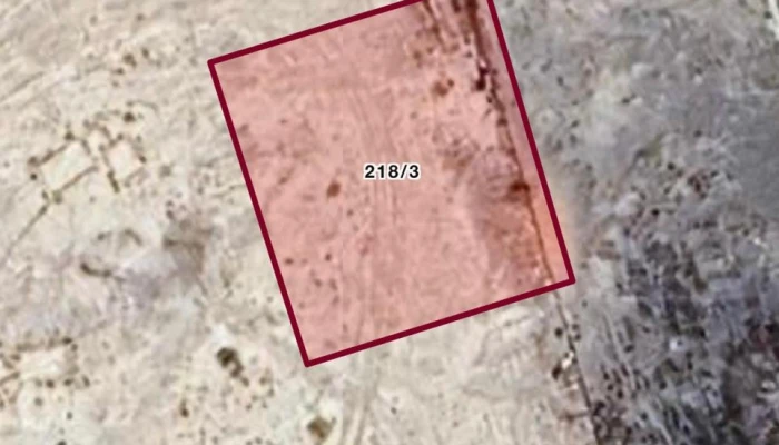 WhatsApp Image 2026-02-20 at 12.13.55.jpg