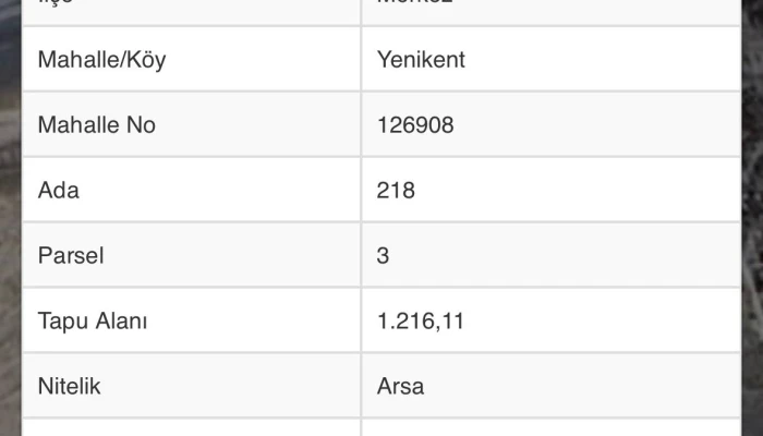 WhatsApp Image 2026-02-20 at 12.13.55 (1).jpg