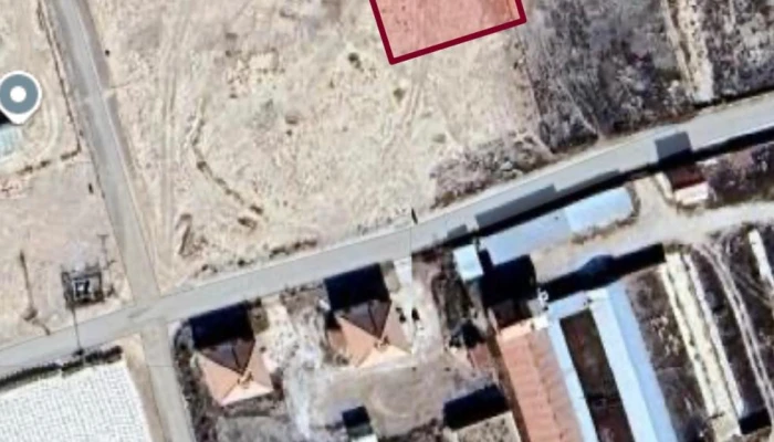 WhatsApp Image 2026-02-20 at 12.13.56 (1).jpg