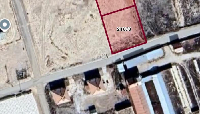 WhatsApp Image 2026-02-20 at 12.13.56 (2).jpg