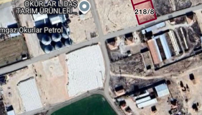 WhatsApp Image 2026-02-20 at 12.13.56 (3).jpg