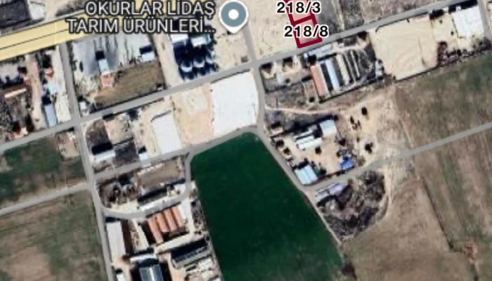 WhatsApp Image 2026-02-20 at 12.13.56 (4).jpg