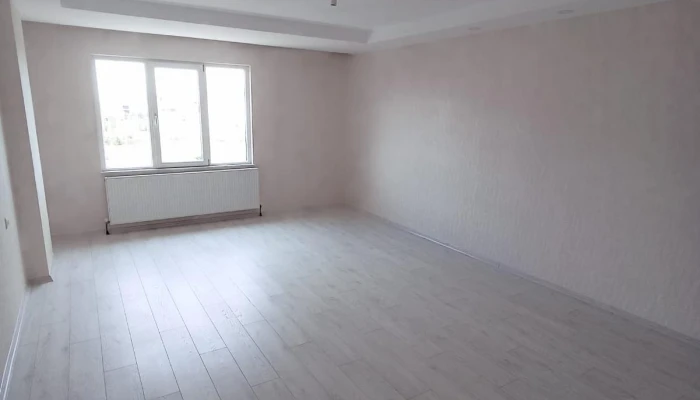 WhatsApp Image 2026-02-20 at 12.40.09 (1).jpg