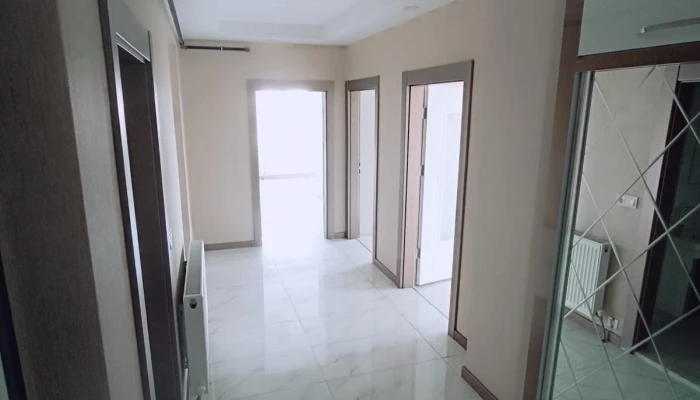 WhatsApp Image 2026-02-20 at 12.40.10 (3).jpg