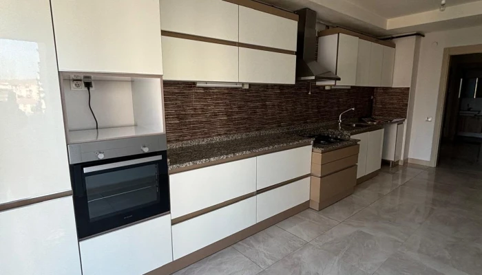 WhatsApp Image 2026-02-20 at 13.01.47.jpg