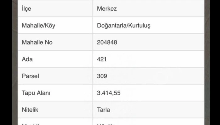 WhatsApp Image 2026-02-24 at 13.36.45 (2).jpg