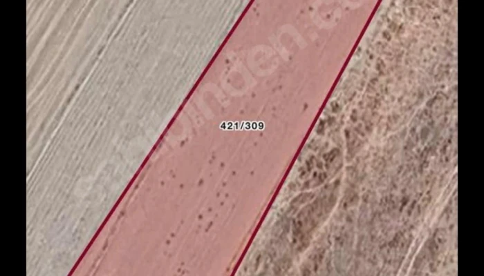 WhatsApp Image 2026-02-24 at 13.36.45.jpg