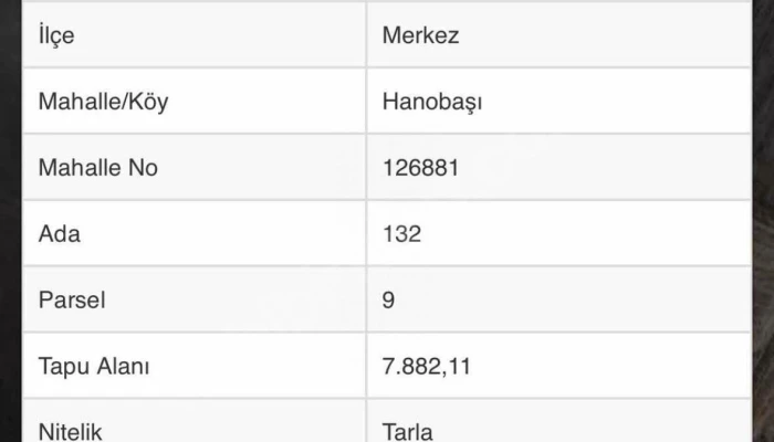 WhatsApp Image 2026-02-24 at 13.56.08 (2).jpg