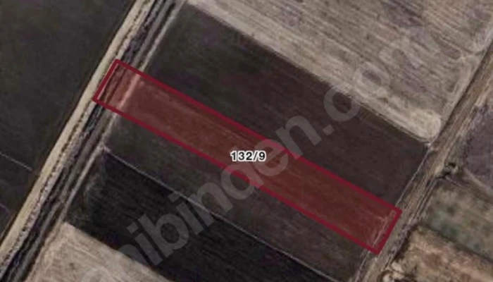 WhatsApp Image 2026-02-24 at 13.56.08 (3).jpg