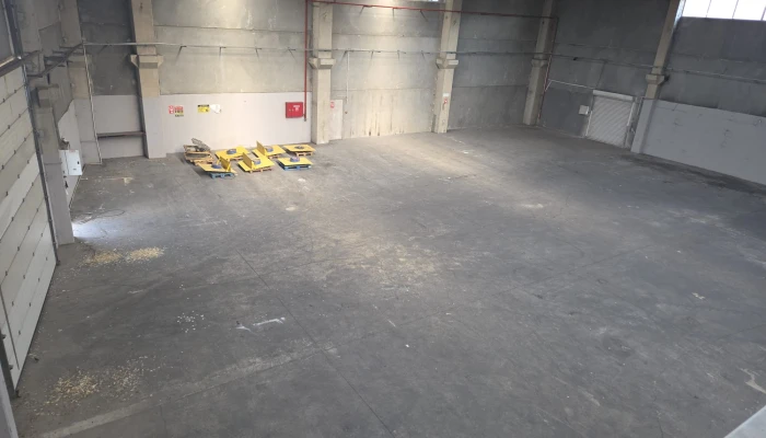 WhatsApp Image 2026-01-19 at 14.50.44.jpg