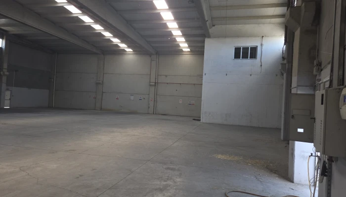 WhatsApp Image 2026-01-19 at 14.35.18.jpg