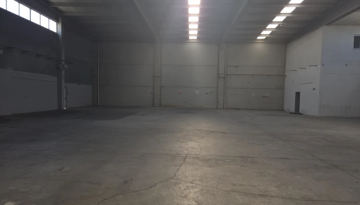 WhatsApp Image 2026-01-19 at 14.35.17.jpg