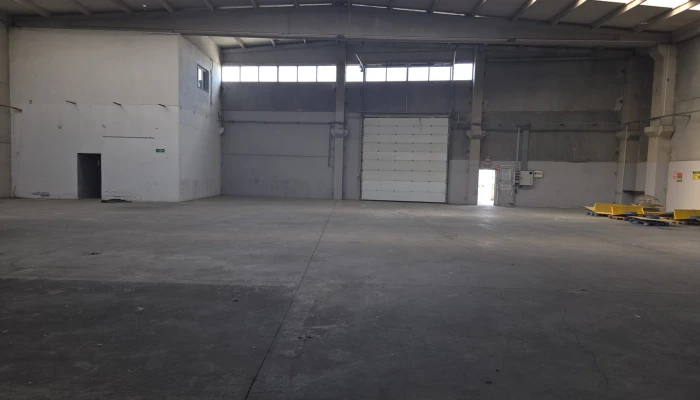 WhatsApp Image 2026-01-19 at 14.35.16.jpg