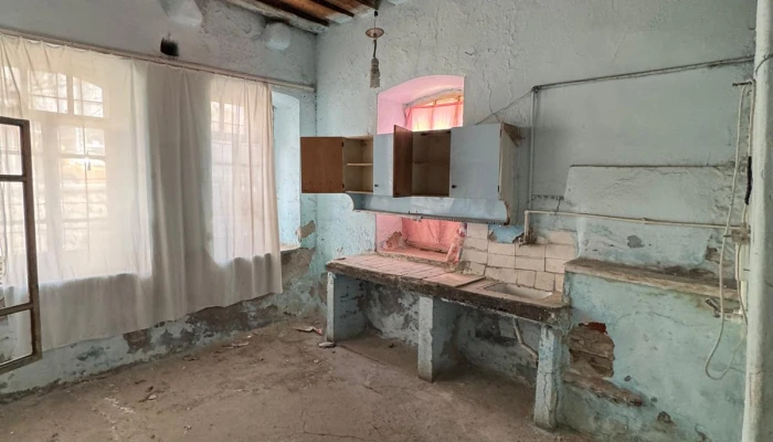 WhatsApp Image 2026-02-26 at 11.03.22.jpg