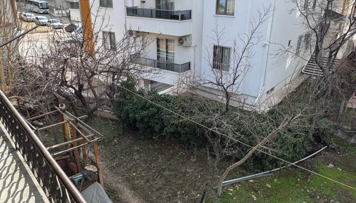 WhatsApp Image 2026-02-26 at 11.03.08.jpg