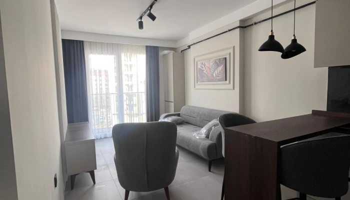 WhatsApp Image 2026-03-01 at 17.31.36.jpg