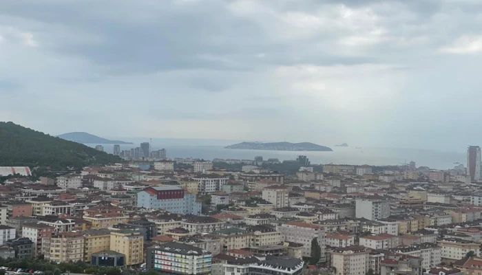 PHOTO-2025-05-26-23-25-30 2.jpg