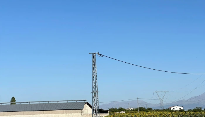 WhatsApp Image 2025-10-09 at 17.07.52 (2).jpg