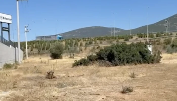 Ekran Resmi 2026-03-06 11.00.05.png