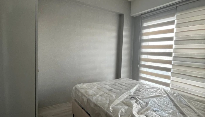 WhatsApp Image 2026-03-05 at 23.36.50 (3).jpg