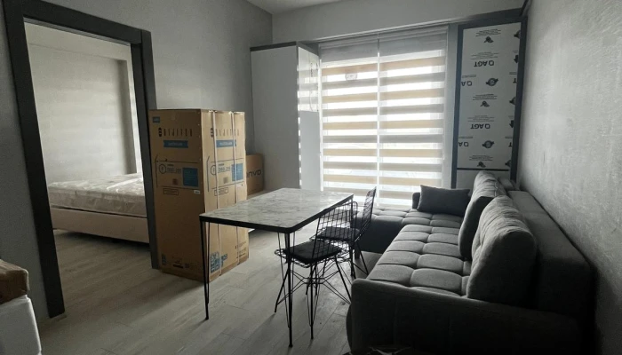 WhatsApp Image 2026-03-05 at 23.36.50 (5).jpg