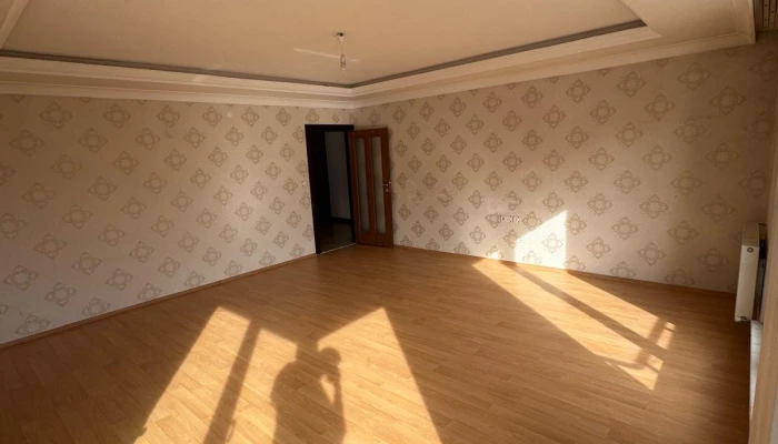 WhatsApp Image 2026-03-06 at 10.32.54.jpg