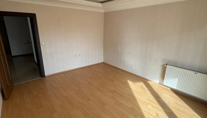 WhatsApp Image 2026-03-06 at 10.32.21.jpg