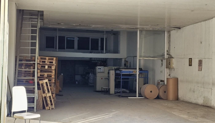 WhatsApp Image 2026-03-09 at 12.56.58 (1).jpg