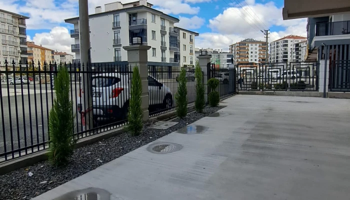 WhatsApp Image 2026-03-10 at 14.31.05.jpg