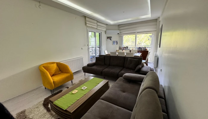 WhatsApp Image 2026-03-13 at 00.21.37 (6).jpg