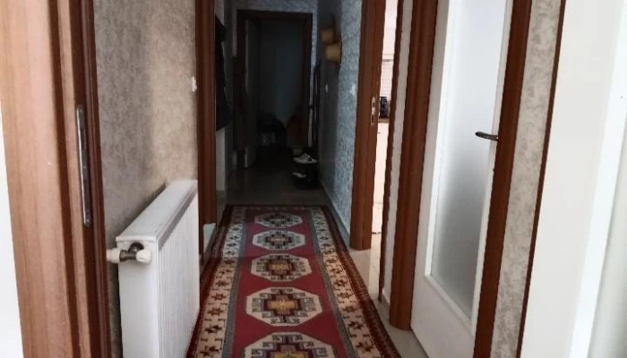 WhatsApp Image 2026-02-25 at 17.26.48.jpg