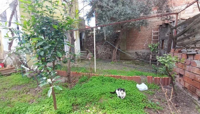 WhatsApp Görsel 2025-02-07 saat 13.32.16_655be07c.jpg