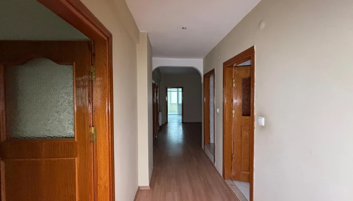 WhatsApp Image 2025-04-07 at 16.29.51 (10).jpg