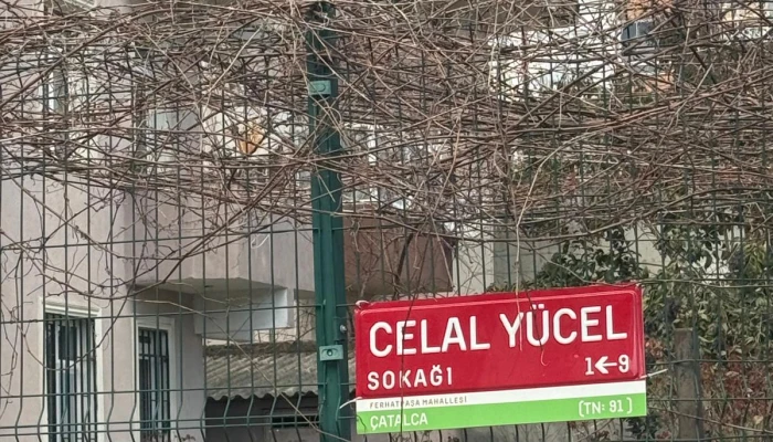 WhatsApp Image 2026-03-08 at 15.10.29 (11).jpg