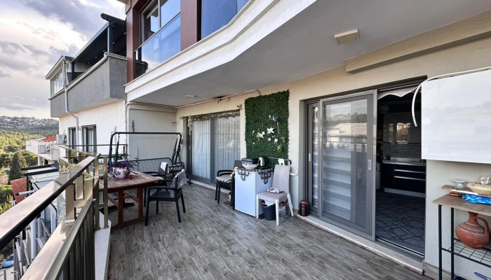 WhatsApp Image 2026-03-27 at 15.54.31 (2).jpg