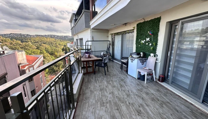 WhatsApp Image 2026-03-27 at 15.54.31 (3).jpg