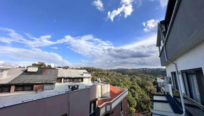 WhatsApp Image 2026-03-27 at 15.54.31.jpg