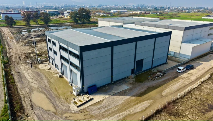 WhatsApp Image 2026-03-15 at 13.32.11.jpg