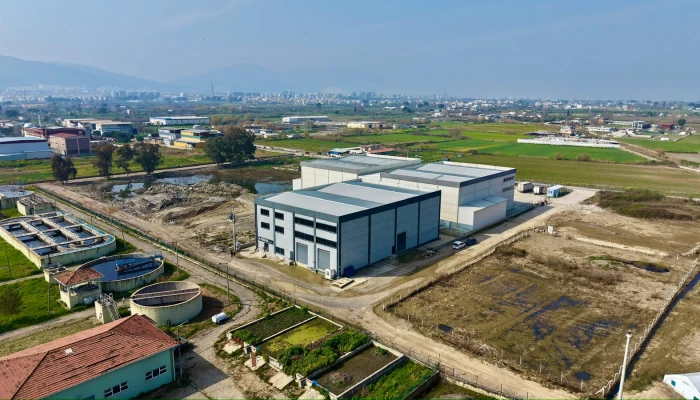 WhatsApp Image 2026-03-15 at 13.32.12.jpg