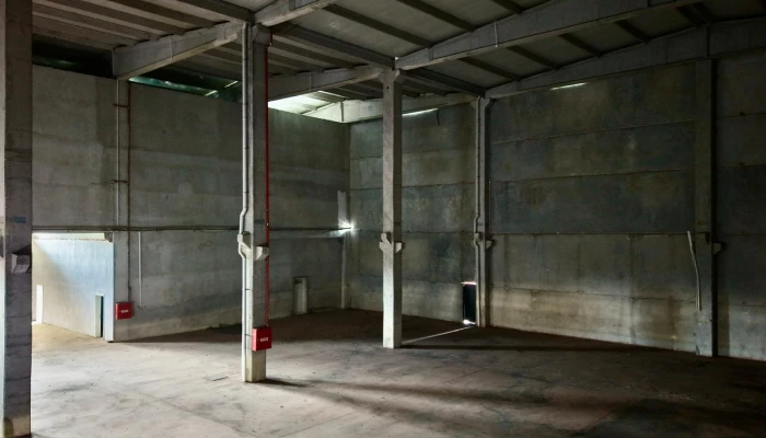 WhatsApp Image 2026-03-15 at 13.32.16 (1).jpg