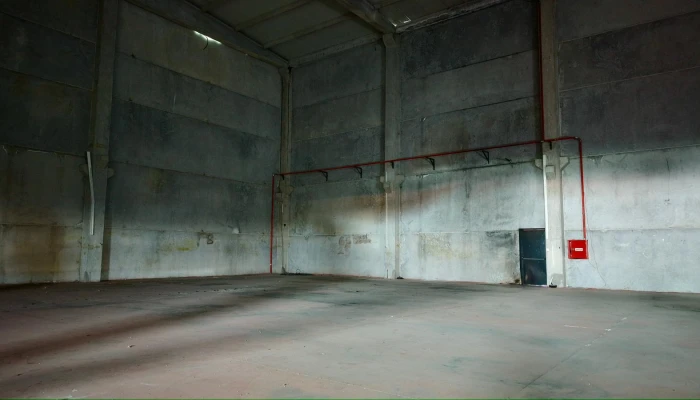 WhatsApp Image 2026-03-15 at 13.32.17 (1).jpg